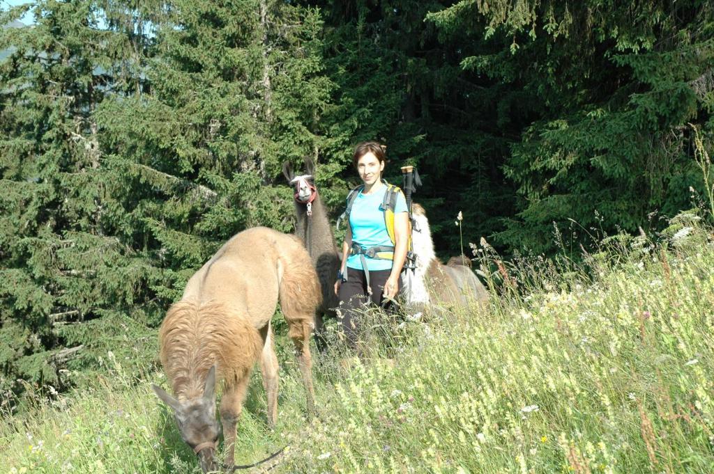 Appart Enzian Gaschurn Buitenkant foto